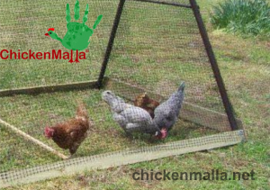 Proteccion con malla gallinera