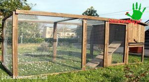 Corral para aves domésticas dentro de propiedad privada con espacio reducido.